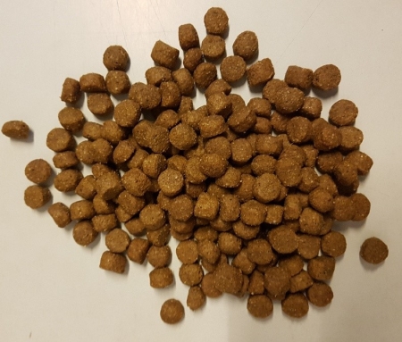 ARION Original Sensitive Medium 20kg